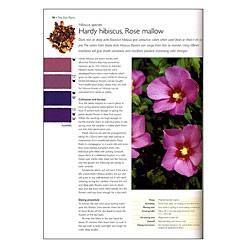 Wild Color, Revised and Updated Edition: The Complete Guide to Making and  Using Natural Dyes